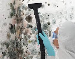  Andrews, NC Mold Removal & Remediation Pros